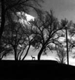 Angry Chair silhouetted on a hill near sunset.